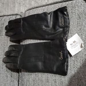 Coach leather gloves